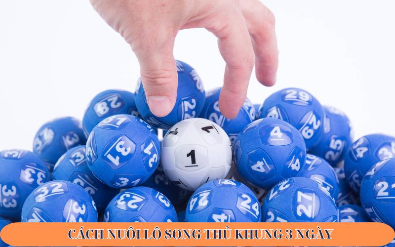 Cách nuôi lô song thủ khung 3 ngày